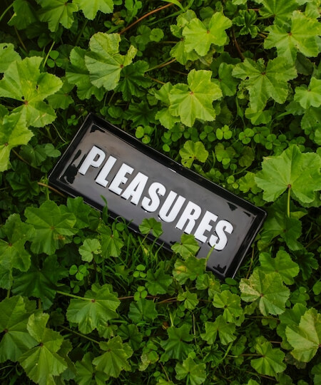 Pleasures Now 